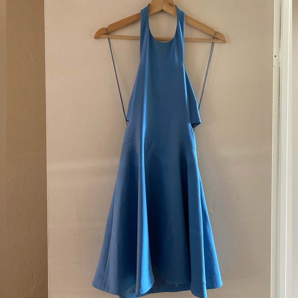 Elizabeth and James Sky Blue Backless Dress